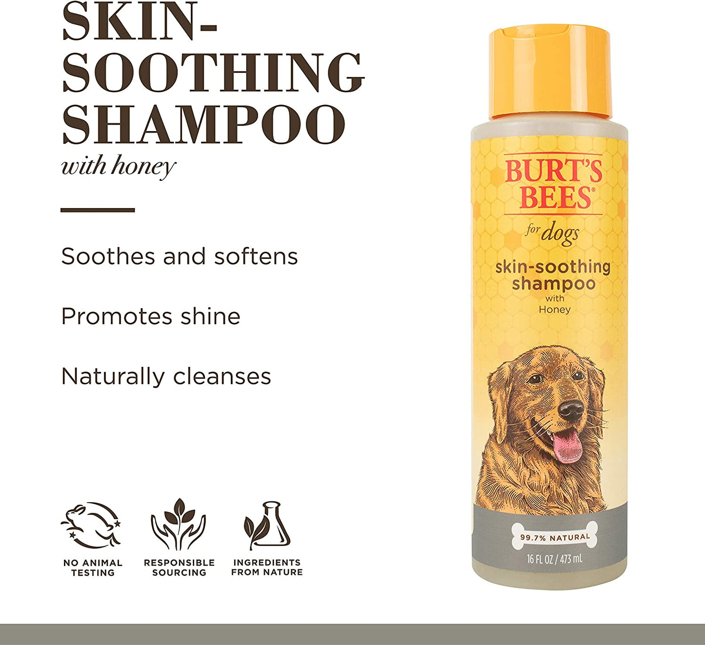 Burt's Bees Naturally Derived Skin Soothing Shampoo with Honey for Dogs and Puppies - Gentle Formula for Dry and Sensitive Skin - Made in the USA, 16 Ounces