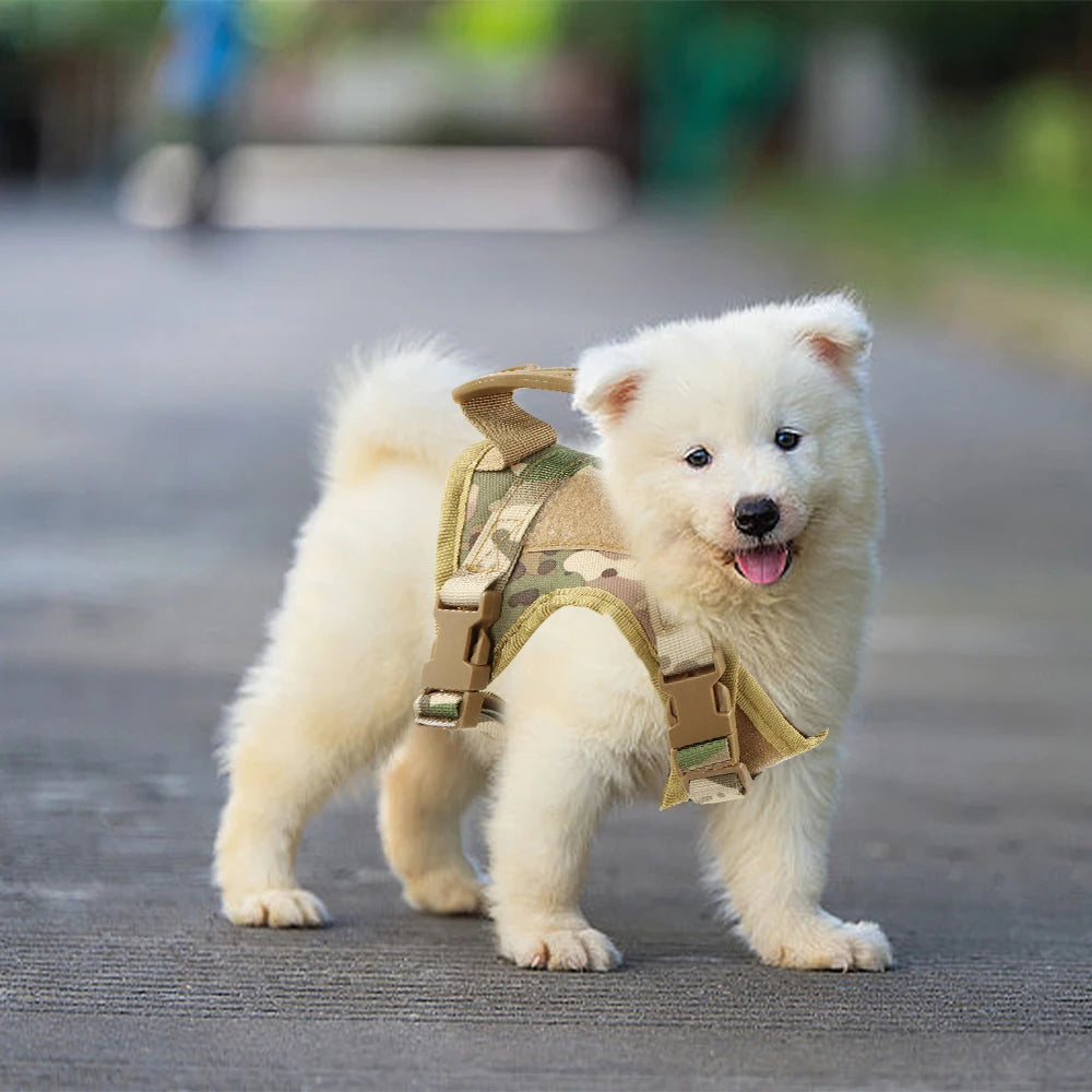 Tactical Puppy Harness Leash For Small Dogs Cats Adjustable Kitten Vest For Military Service Dog Working Training Walking