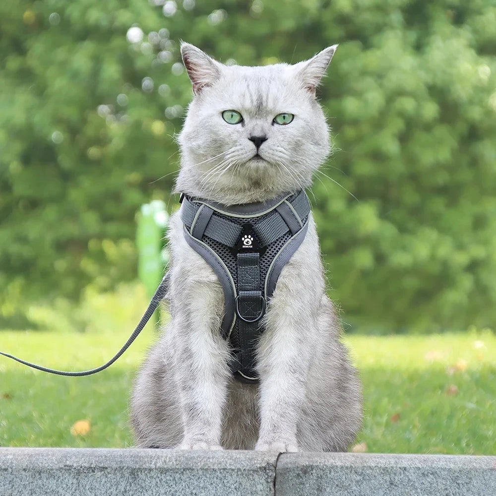 Cat Harness and Leash Set Escape Proof For Small Medium Dog Cat Breathable Reflective Adjustable Kitten Chest Strap Pet Supplies