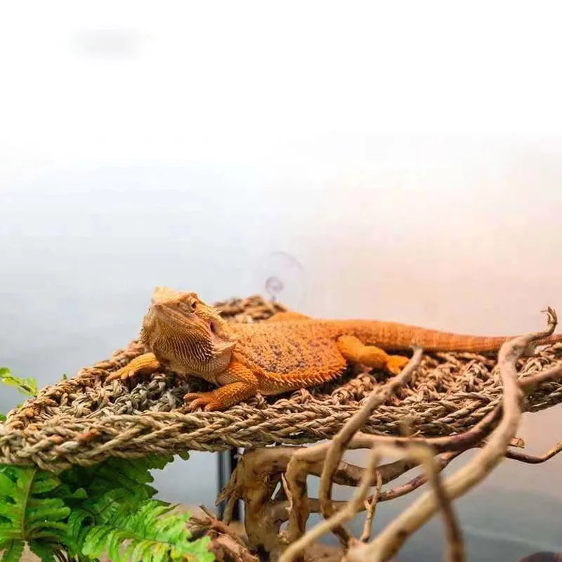 Reptile Lizard Hammock Hamster Grass Cushion Pet Bed Seagrass Hammock Swing Pet Reptile Toy Hanging Mattress Hanging Sofa