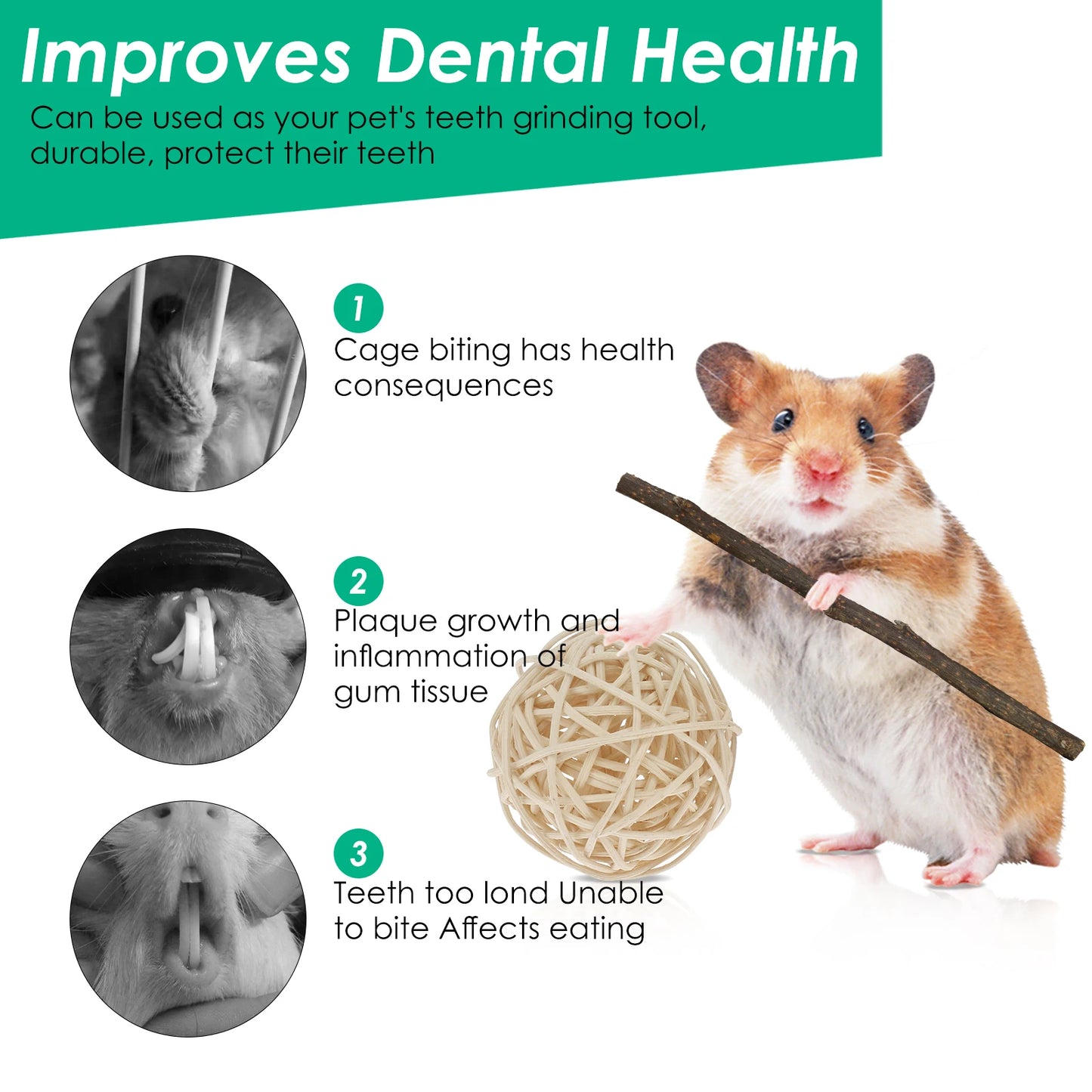 Hamster Toys Set Rabbit Mouse Natural Small Animal Wood Guinea Pig Toys Teeth Cleaning Molar Grinding Caring Chewing Toy