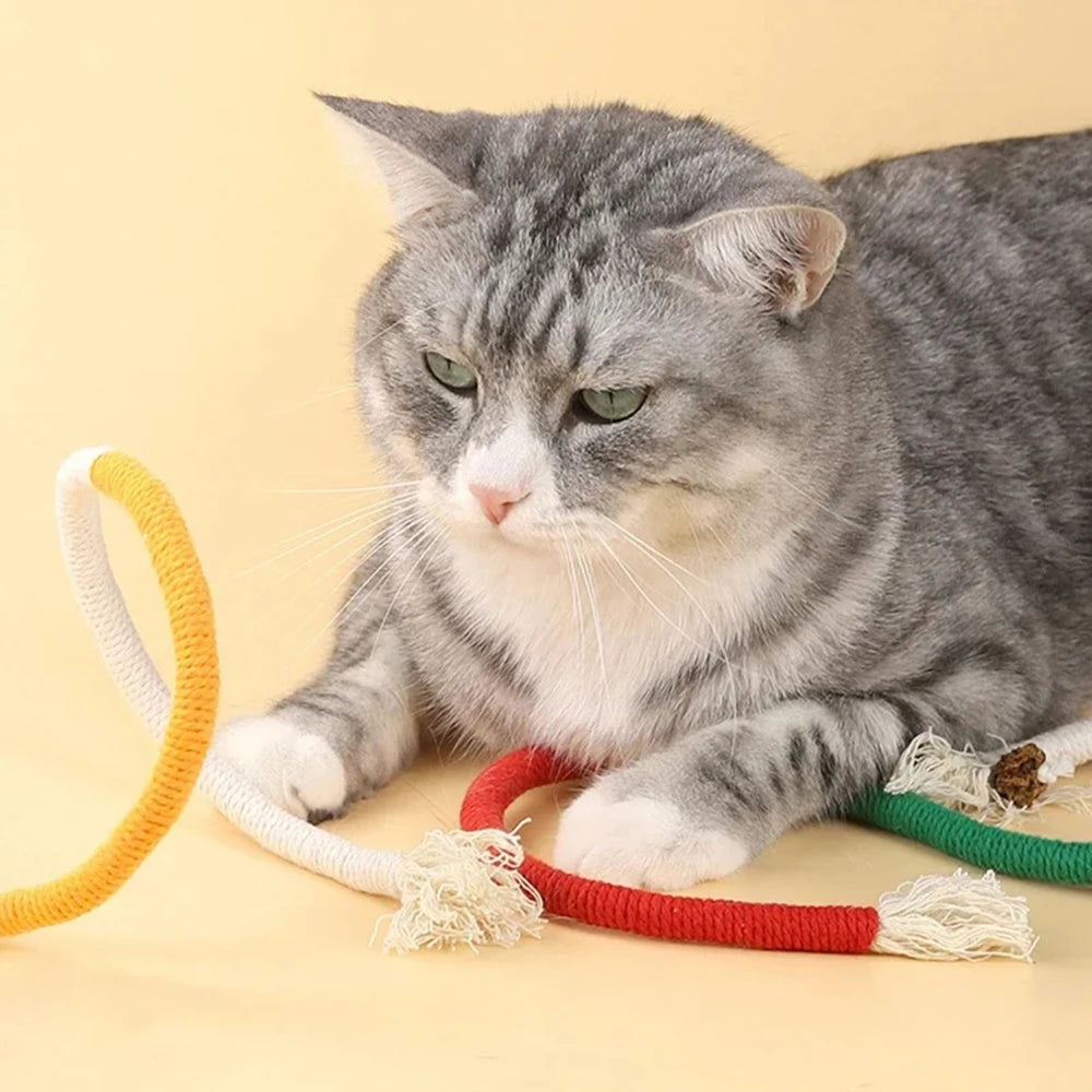 1PC Cat Toys Chew Rope Safe Teeth Cleaning Toy for Indoor Kittens, Interactive Cat Nip Kitty Toys for All Breeds