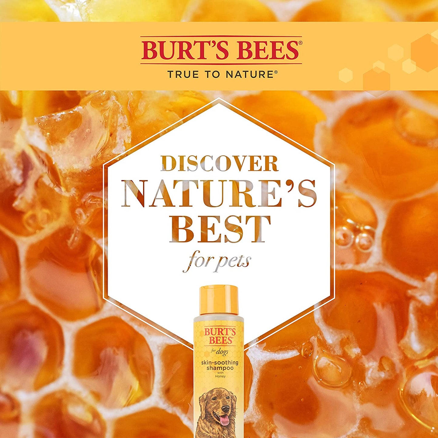 Burt's Bees Naturally Derived Skin Soothing Shampoo with Honey for Dogs and Puppies - Gentle Formula for Dry and Sensitive Skin - Made in the USA, 16 Ounces