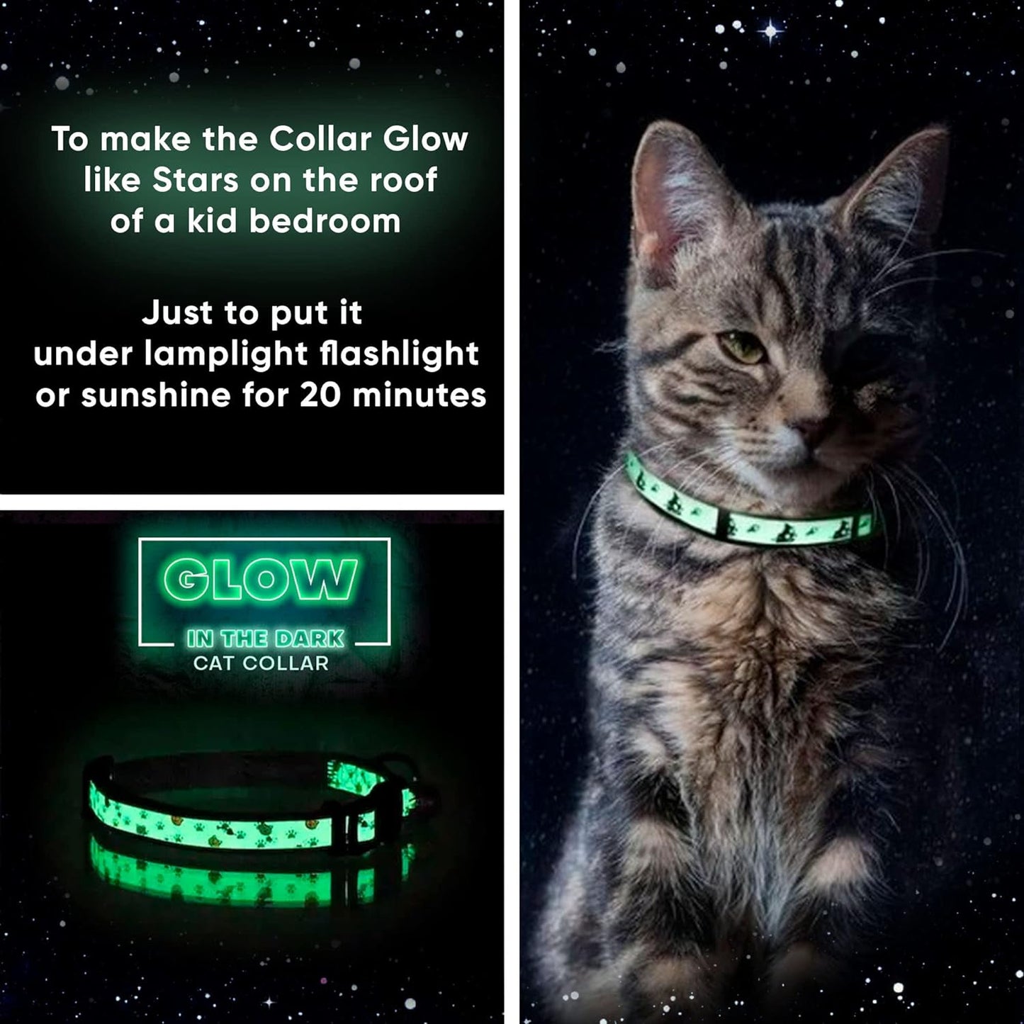 Pawtitas Teal Glow-in-the-Dark Cat Collar with Safety Buckle and Removable Bell