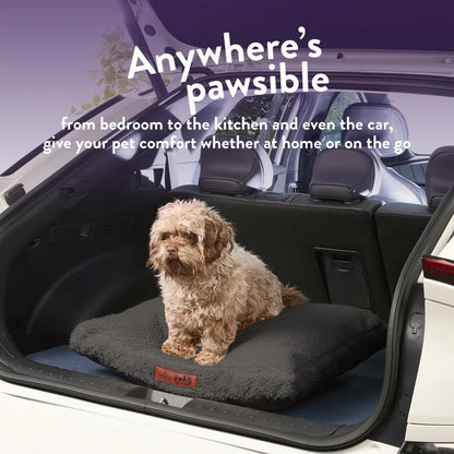 Paws for Slumber Machine Washable Cushioned Sherpa Pet Bed