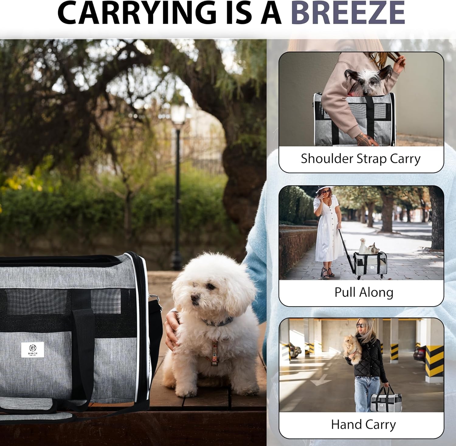 Pet Carrier with Wheels by Birch & Key – Grey Color - Airline Approved Rolling Pet Carrier – Soft Dog & Cat Travel Carrier - Small Dog Carrier – Removable Wheels - 17.5” X 12” X 12”