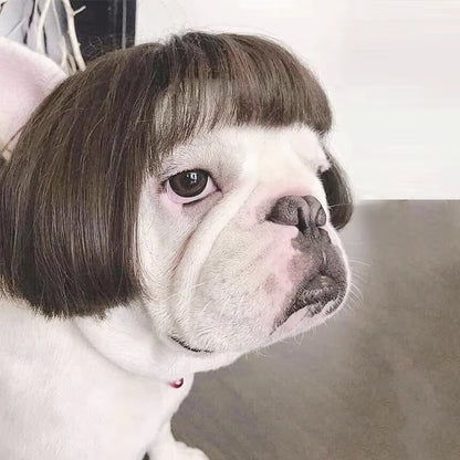 Pet Wigs Dog Wigs Pet Supplies Halloween Pet Accessories Curly Hair Straight Hair Cat Wigs