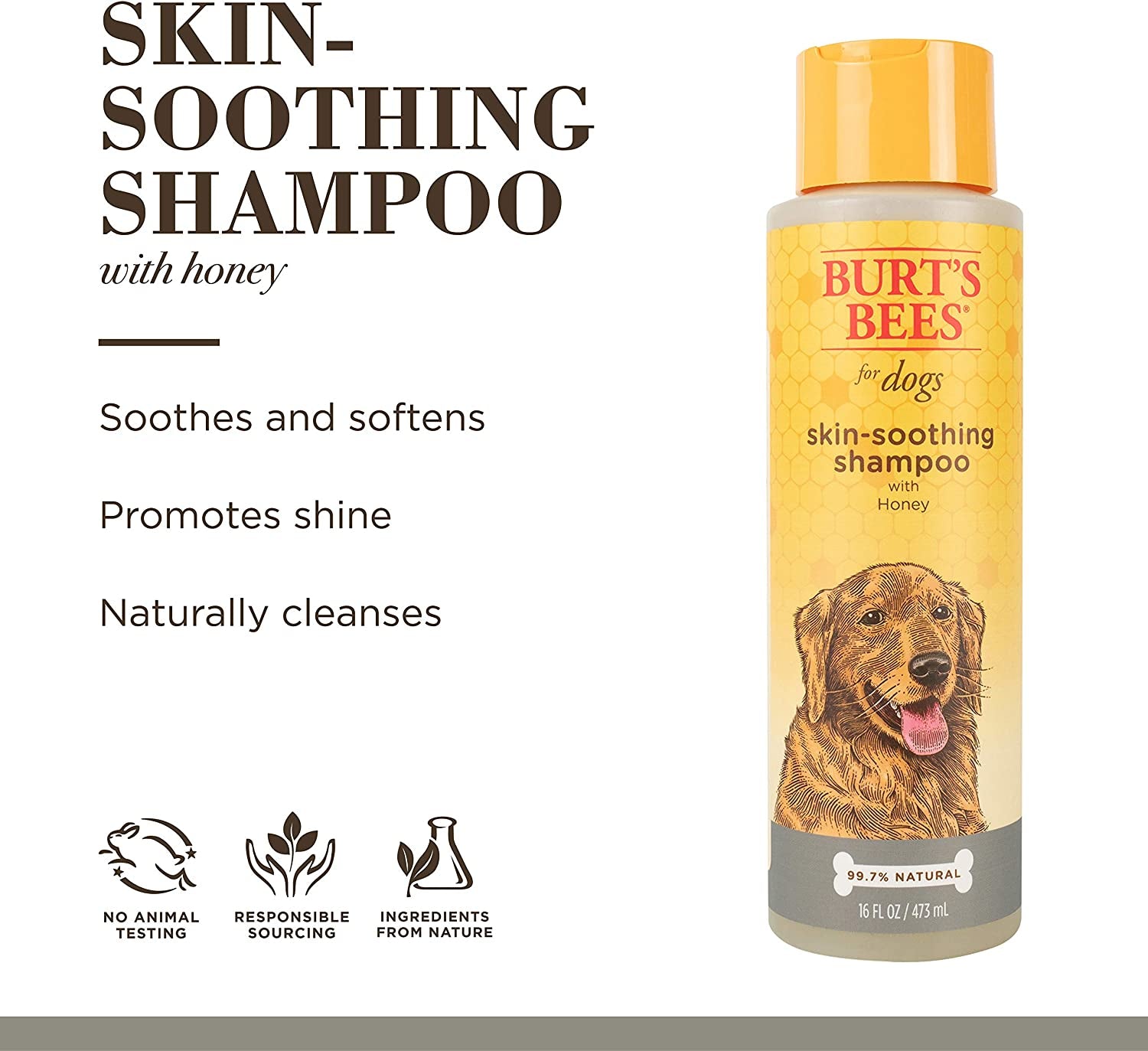 Burt's Bees Naturally Derived Skin Soothing Shampoo with Honey for Dogs and Puppies - Gentle Formula for Dry and Sensitive Skin - Made in the USA, 16 Ounces