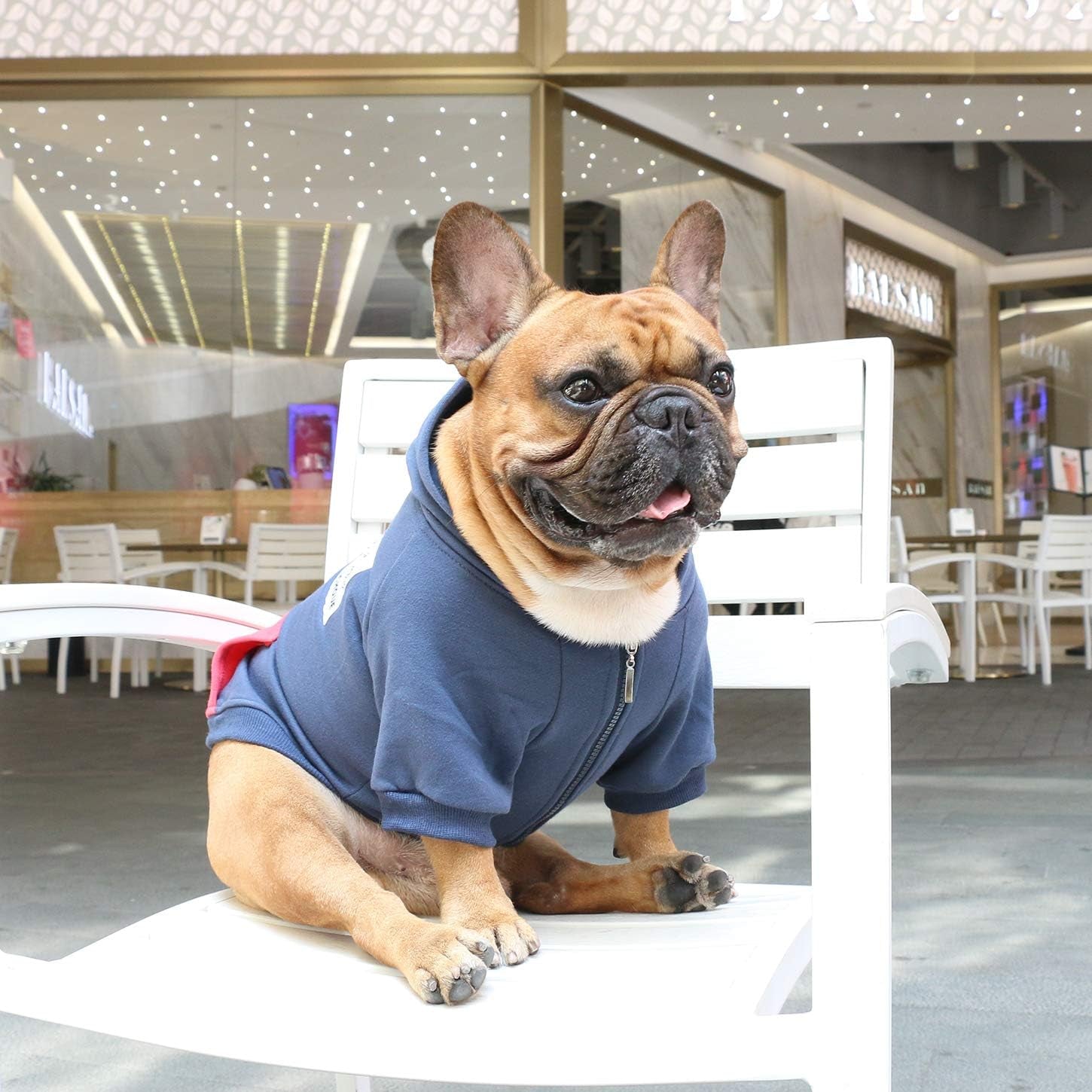 Ichoue I Am a French Bulldog Clothes Hoodies for Dogs Puppy Frenchie Pug English Boston Terrier Bully Pitbull Sweatshirt Sweater Clothing Cold Weather Winter Coats - Navy/Medium