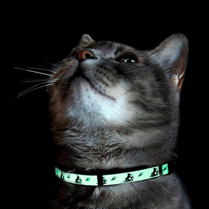 Pawtitas Teal Glow-in-the-Dark Cat Collar with Safety Buckle and Removable Bell