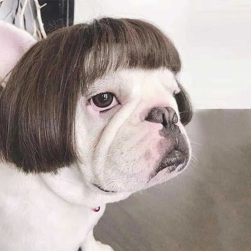 Pet Wigs Dog Wigs Pet Supplies Halloween Pet Accessories Curly Hair Straight Hair Cat Wigs