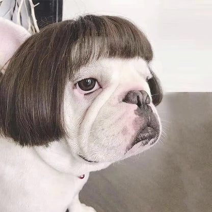 Pet Wigs Dog Wigs Pet Supplies Halloween Pet Accessories Curly Hair Straight Hair Cat Wigs