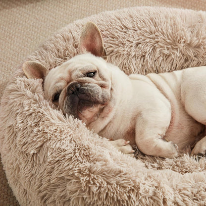 Love's Cabin Calming Donut Pet Bed for Dogs and Cats, Anti-Anxiety Fluffy Warming Indoor Bed in Beige Taupe, Available in 20" and 24" Sizes