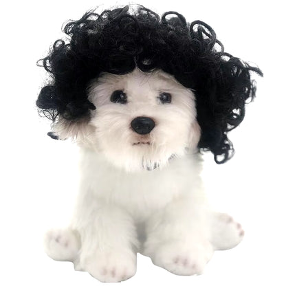 Pet Wigs Dog Wigs Pet Supplies Halloween Pet Accessories Curly Hair Straight Hair Cat Wigs