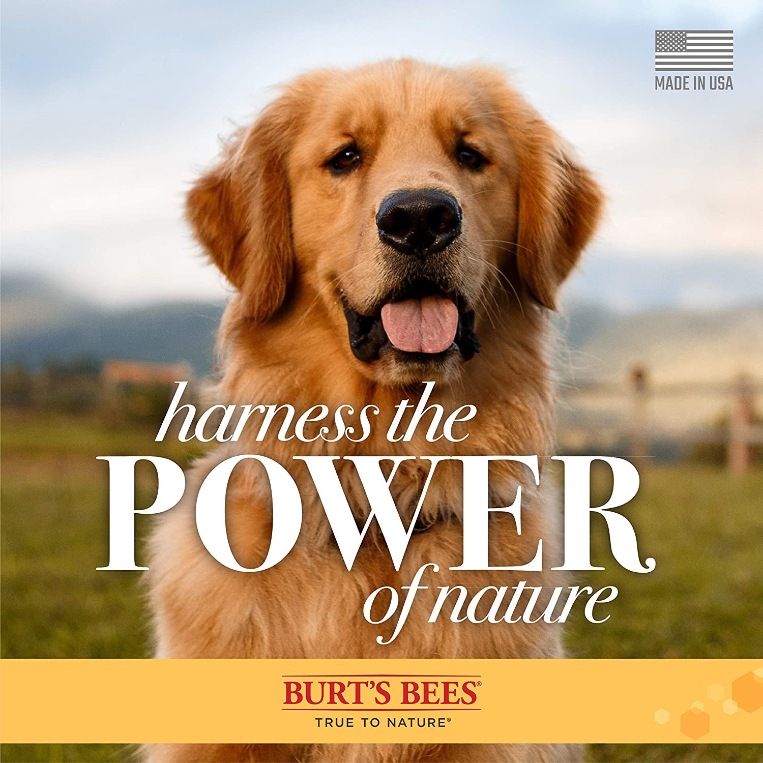 Burt's Bees Naturally Derived Skin Soothing Shampoo with Honey for Dogs and Puppies - Gentle Formula for Dry and Sensitive Skin - Made in the USA, 16 Ounces