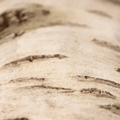 Resin Large Reptile Hide Wooden Bark Appearance Hideout House Hiding Cave Shelter For Reptile Habitat Decoration