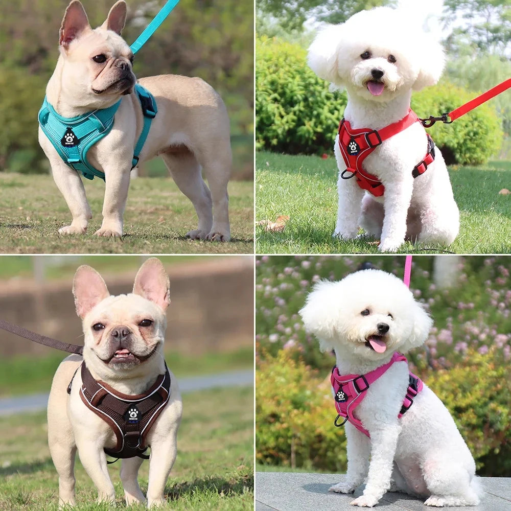 Cat Harness and Leash Set Escape Proof For Small Medium Dog Cat Breathable Reflective Adjustable Kitten Chest Strap Pet Supplies