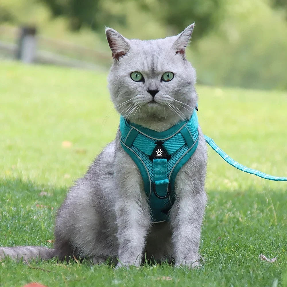 Cat Harness and Leash Set Escape Proof For Small Medium Dog Cat Breathable Reflective Adjustable Kitten Chest Strap Pet Supplies