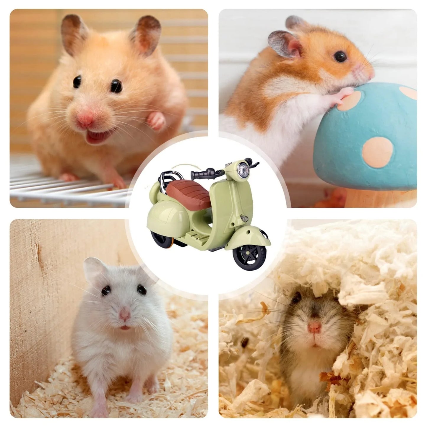 Hamster Motorcycle Toy Motorcycle Guinea Pet Rat Toy for Dwarf Syrian Hamster Mice Mouse Gerbil Rat or Other Small Pets