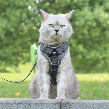 Cat Harness and Leash Set Escape Proof For Small Medium Dog Cat Breathable Reflective Adjustable Kitten Chest Strap Pet Supplies