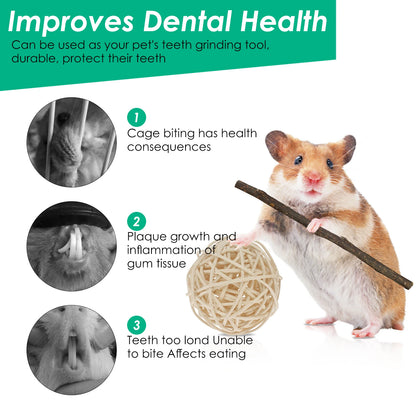 Hamster Toys Set Rabbit Mouse Natural Small Animal Wood Guinea Pig Toys Teeth Cleaning Molar Grinding Caring Chewing Toy