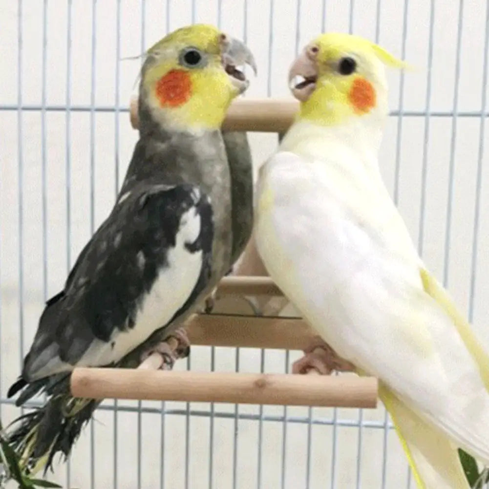 Bird Mirror Wooden Interactive Play Toy With Perch For Small Parrot Budgies Parakeet Cockatiel Conure Lovebird Cage Accessories