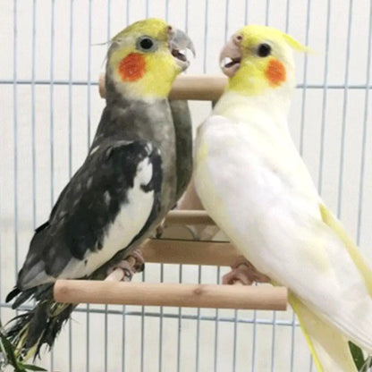 Bird Mirror Wooden Interactive Play Toy With Perch For Small Parrot Budgies Parakeet Cockatiel Conure Lovebird Cage Accessories