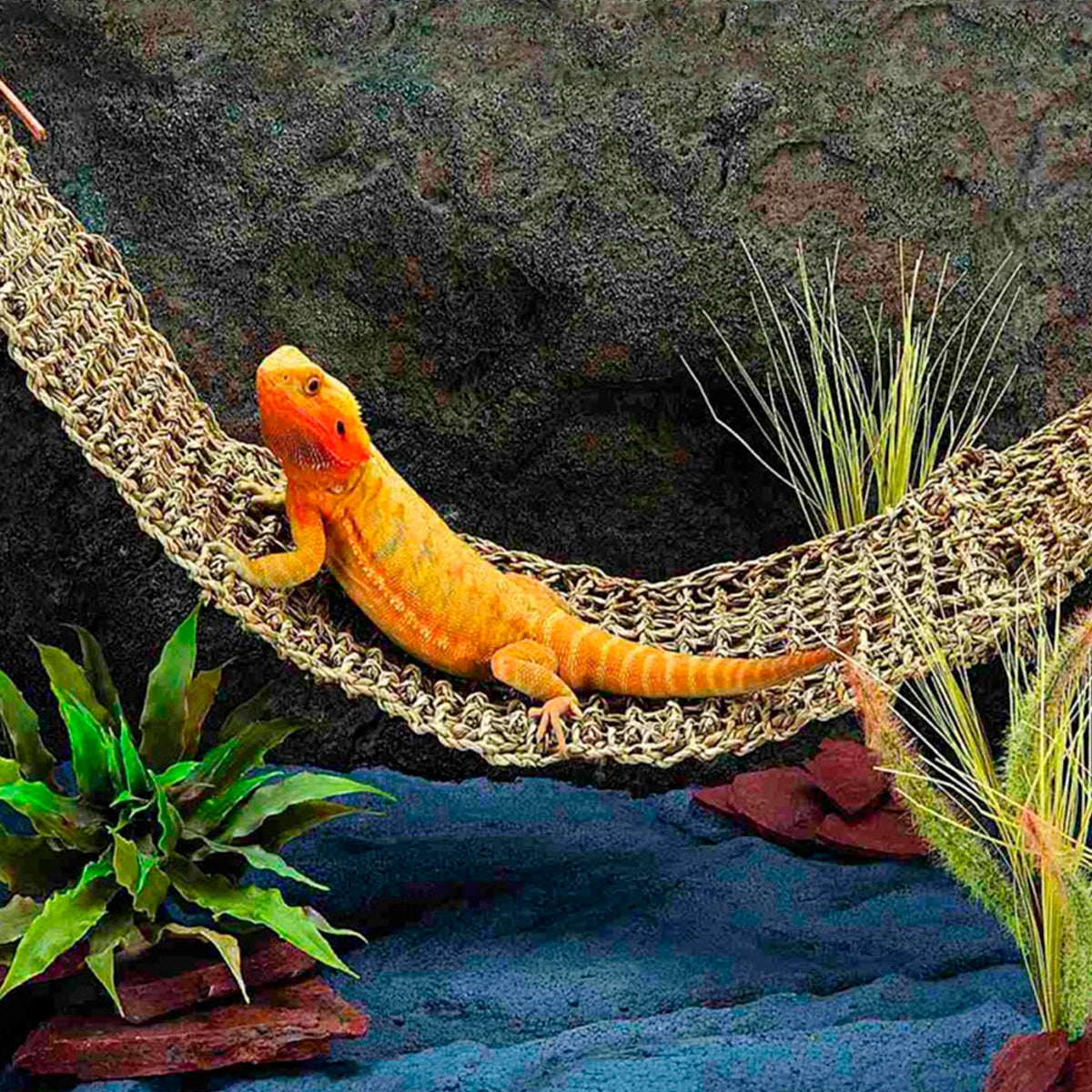 Reptile Hammock Terrarium Decoration Lizard Lounger Crabs Geckos Hanging Swing Bed Birds Reptile Mats Pet Swing Toys Pet Supplie