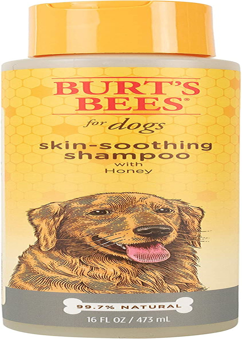 Burt's Bees Naturally Derived Skin Soothing Shampoo with Honey for Dogs and Puppies - Gentle Formula for Dry and Sensitive Skin - Made in the USA, 16 Ounces