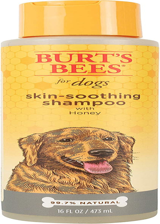 Burt's Bees Naturally Derived Skin Soothing Shampoo with Honey for Dogs and Puppies - Gentle Formula for Dry and Sensitive Skin - Made in the USA, 16 Ounces