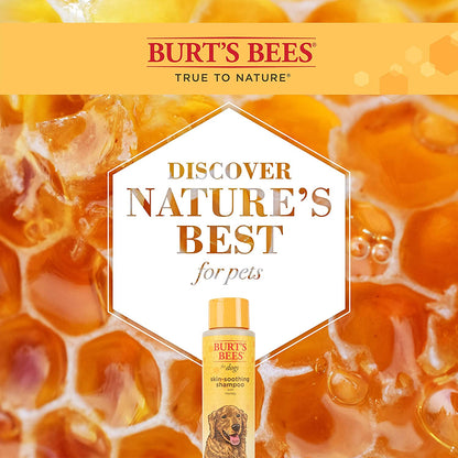 Burt's Bees Naturally Derived Skin Soothing Shampoo with Honey for Dogs and Puppies - Gentle Formula for Dry and Sensitive Skin - Made in the USA, 16 Ounces
