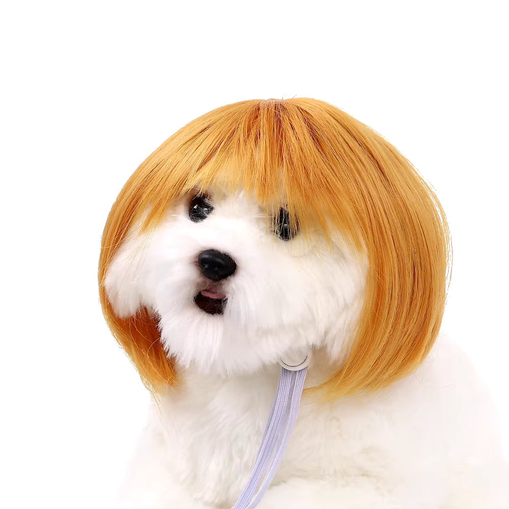 Pet Wigs Dog Wigs Pet Supplies Halloween Pet Accessories Curly Hair Straight Hair Cat Wigs