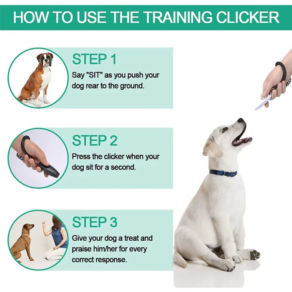 Pet Dog Training Whistle Sound Pet Dog Cat Training Sound Pet Dog Trainer Assistive Guide with Key Ring Pet Dogsupplies